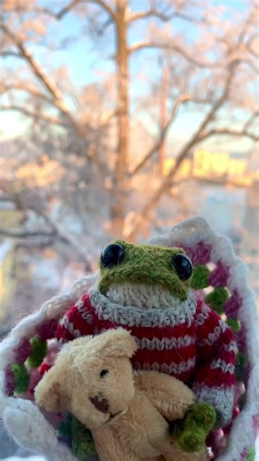 Today is the coldest day of the whole week here... I'm still snuggled up in a blanket with my teddy bear, but I'm going out soon to give the birds fresh food. They need it in these temperatures when everything is frozen #frog #froggy #adventurefrog #frogs #frogtok