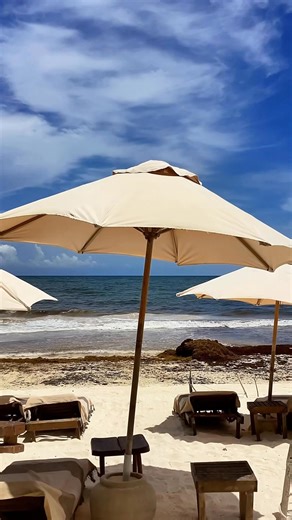 Urban Decay Cosmetics ALL NIGHTER WATERPROOF SETTING POWDER is the TRUTH! Here me loud and clear!!!!!!! ‍️ My fave blotting powder! You can find it at Sephora and Ulta Beauty #urbandecay | Candace Anderson-Edwards | Facebook