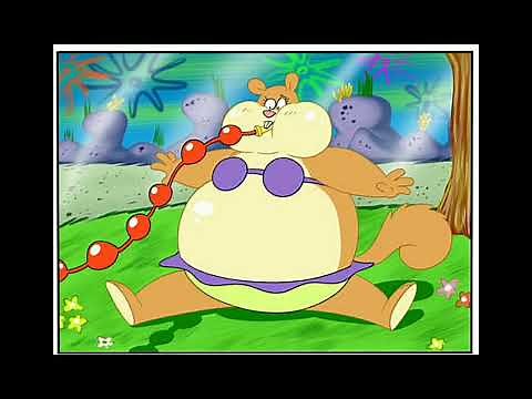 Sandy Cheeks Inflation