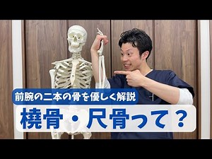 体について楽しく学びましょう！橈骨・尺骨編