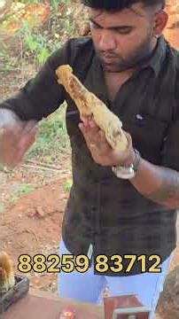 honey comp#honey#food#shortsvideo#tirunelveli#bee#vallioor#foodvideo#bee