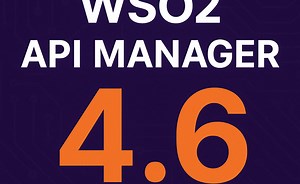 WSO2 API Manager 4.6 Release Highlights