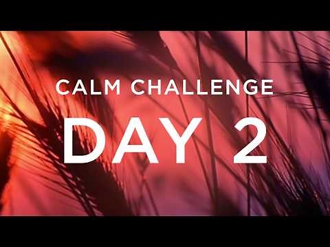 Calm Challenge | Day 2