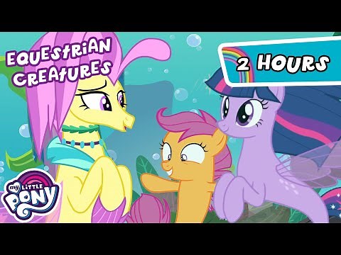 Discover the Creatures of Equestria🐉🦓🧜‍♀️ | 2 HOUR | My Little Pony: Friendship is Magic