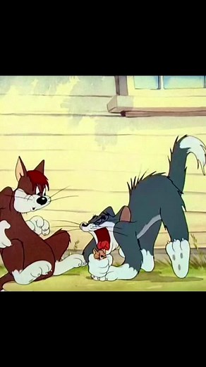 #beepbeep #funnycartoons #cartoons #cartoonsforkids #kids #children #funnycartoonforkids #kidscartoon #childrencartoon #cartoon#Cartoon network 💫#cartoon #baby #forbaby #foryou #foryoupage #fly #thankyou##cartoonclips #cartoon #cutecartoonvideos #tomandjerryedits #cortometrajeanimado #animation #tomandjerry #funnycartoons #cartoonmovie#cartoonclips #cartoon #cutecartoonvideos #cortometrajeanimado##cartoonclips #cartoon #cutecartoonvideos #tomandjerryedits #cortometrajeanimado #animation #tomand