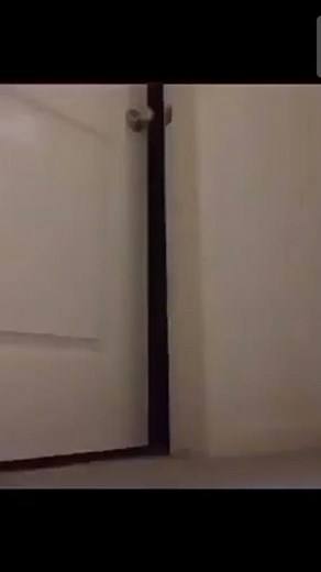 Electrocution then scream meme