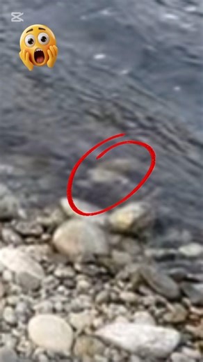 Digging Deep Found Rare Stones You’ve Never Seen 😍🪨