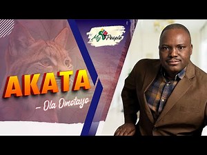 Akata Meaning Explained: Yoruba Origins & Breaking Stereotypes