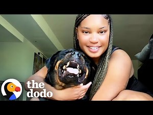 Rottie’s 'Growl' Is Actually Pure Happiness | The Dodo