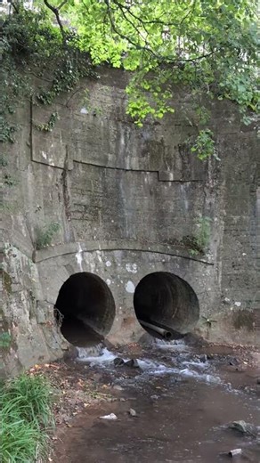 CANAL CULVERTS: River flows through "fine and rare example"