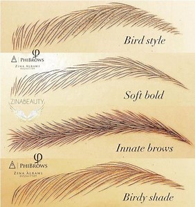 Microblading Course From Beginners to Professionals - Etsy