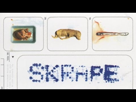 Korn - What You Say (Skrape Cover) [Fanmade]
