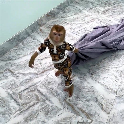 Monkey Kaka called mom to wake up when the water overflowed | Monkey KAKA Family