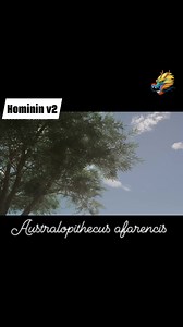 3.7K views · 38 reactions | Australopithecus afarencis Part 1 | Ron Aldo | Facebook