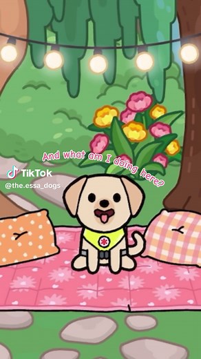 Cuentas recomendadas