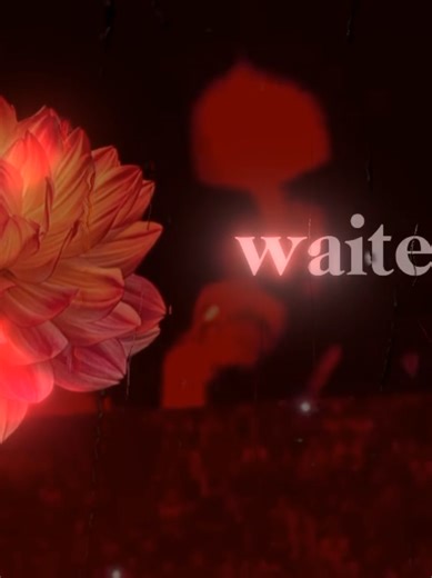 Billie Eilish's Lunch and Dinner Lyrics Explored