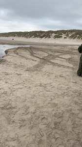 728K views · 3.8K reactions | Sexy engine Sound and sexy tank driver  #military #sexy #engine #leopard #army #soldier #manhunk | MilPics | Facebook