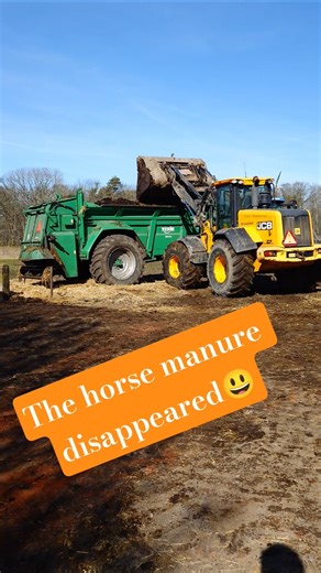 Horse manure disappeared 😃 #horse #equestrian #frederiksborghorse #animals #shorts #youtubeshorts