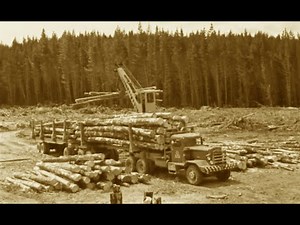 The KLC Pacific logging trucks