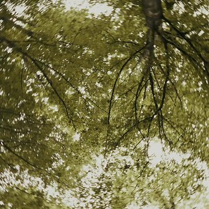 Our iconic fragrances invite themselves into your car! Discover our car diffuser, available in four elegant metal colors, each matching its fragrance. | Baobab Collection