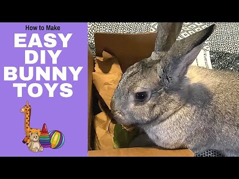 How to Make EASY DIY Bunny Toys