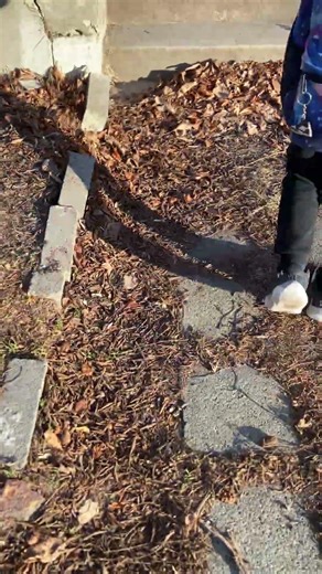 Ding dong ditch pt 4 second of the day we got are partner back