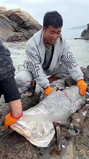 Menguras kubangan ikan di laut: langkah dan istilah terkait