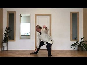 Yang Family Tai Chi 24 Form (Front and Rear Views)