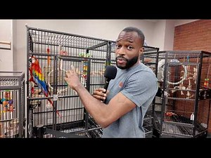 INSIDE The Greatest Parrot Store On Earth