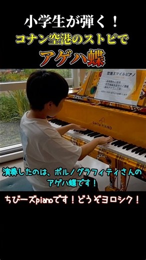 【アゲハ蝶/ポルノグラフィティ】鳥取砂丘コナン空港のストリートピアノで弾いてみた！（２番目ちび）