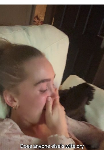 Dog Years Explained: The Age of Our Beloved Pets