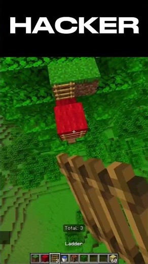 NOOB VS PRO VS HACKER BRIDGING #minecraft #bedwars #shorts