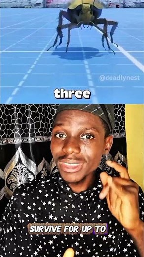 cockroach can reproduce after death #shorts #science #news #worldnews #breakingnews