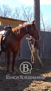 25K views · 643 reactions | When you skip steps you leave holes #b1 #beone #es20 #RespectTheCode #fuelforlegendaryhorses #6666equinesupplements | B1 Horsemanship | Facebook