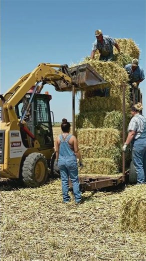 Texas Farmers Loading Giant Hay Bales with Big Machinery 🚜🔥 | Massive Farming Skills