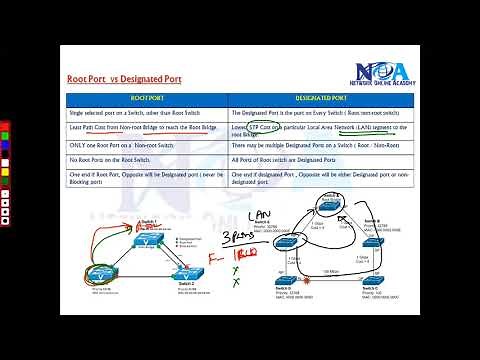 009 Root Port VS Designated Ports