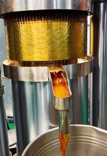 Efficient 20kg Hydraulic Oil Press Machine for Sesame Oil