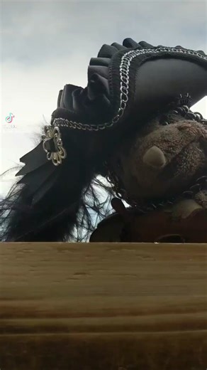 Sir Mousecot on TikTok