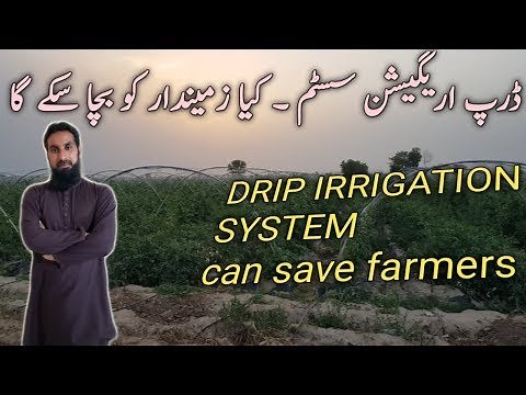 Drip irrigation system design,uses & advantages Complete guide & information, How does it work Part1