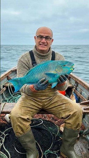 BLUE PARROT FISH - IS THIS THE BLUE FISH FROM RECEP İVEDİK 4?