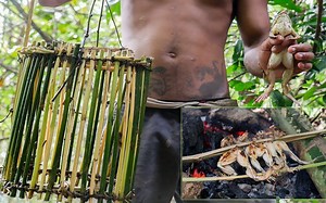 原始技术：做一个捕蛙陷阱 [Evolution of primitive technology]