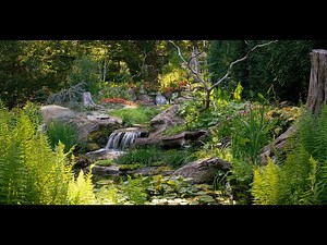 Edging a EPDM Liner Pond so it looks Natural, and the home was built around it.