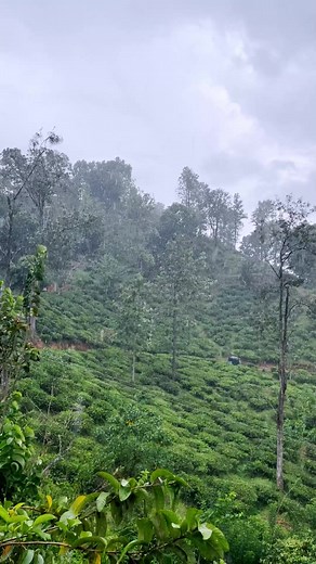 Meet Weather Live° – the world’s 🗺 most beautiful weather app 🌦. Now with the 14-DAY HOURLY FORECAST 📆!