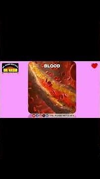 🩸🫀🛡️⚖️🧬 Functions of Blood