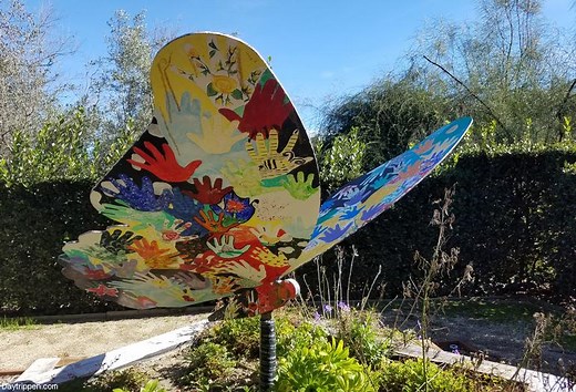 Day Trip to Laguna Niguel Botanical Preserve: Scenic Hidden Gem