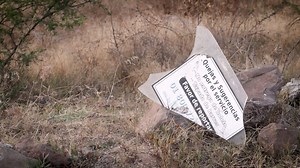 394K views · 6.6K reactions | El sábado 29 de diciembre del 2018, un camión de la Ruta 84 cayó a un barranco en la colonia Convive, de León, Guanajuato. 11 personas perdieron la vida y 45 más sufrieron lesiones. Un año después, recordamos la historia de algunos sobrevivientes. | Periódico AM León | Facebook