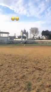 Never attempt to play with everyone. Some have anger issues. | Relationships and Dating