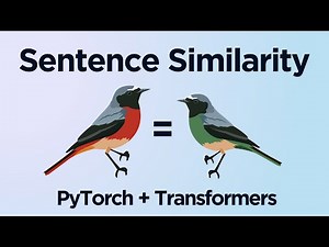 Sentence Similarity With Transformers and PyTorch (Python)