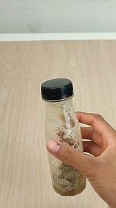 2.8K views · 54 reactions | Shampoo Bomba! Seu Cabelo não vai Parar de Crescer! | Dicas da Mila | Facebook