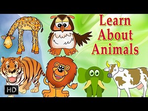 Learn About Animals - Animal Sounds - Learning Animals For Toddlers - Zoo Animals
